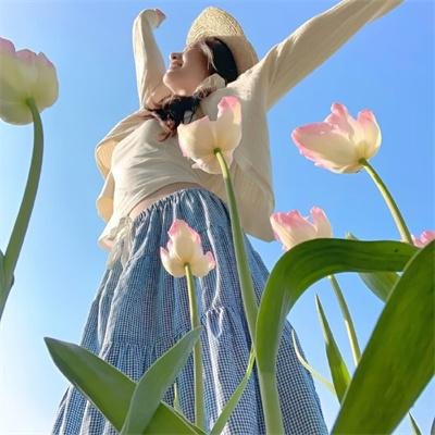 河曲马